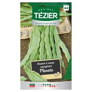 Haricot à rames mangetout Planeta TEZIER