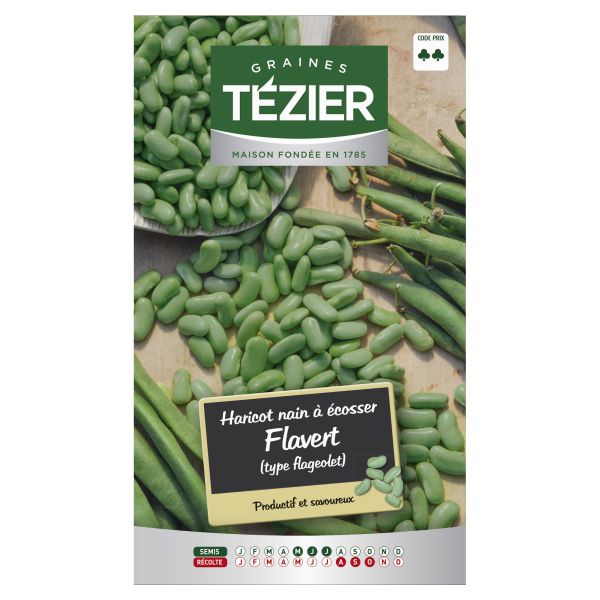 Haricot Nain À Écosser Pactol 90g (Type Coco Paimpolais) (Gra) | Serres De Steenwerck