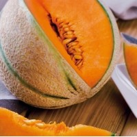 Melon Cantaloupt Charentais