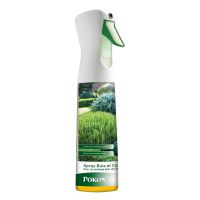 POKON Spray reverdissant Buis et Conifères 300 ml