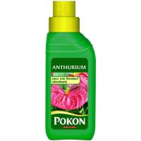 POKON Engrais Anthurium 250 ml