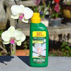 POKON Engrais Orchidées 500 ml