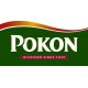 POKON Engrais Orchidées 500 ml