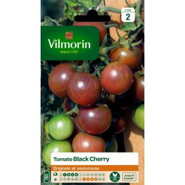 Tomate Black Cherry VILMORIN