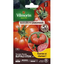 Tomate Buffalo Steak VILMORIN