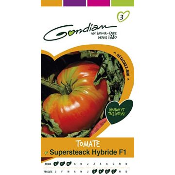 Tomate Supersteack Hybride F1 GONDIAN