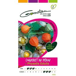 Coqueret du Pérou Physalis Peruviana GONDIAN