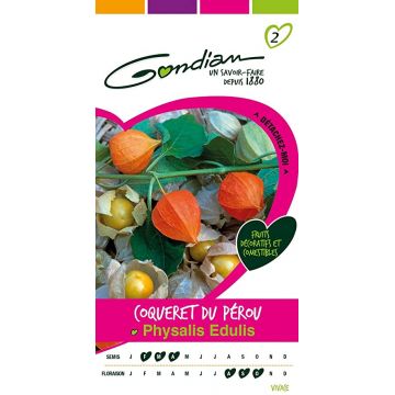 Coqueret du Pérou Physalis Peruviana GONDIAN