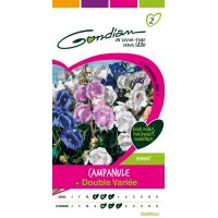 Campanule Double Variée GONDIAN