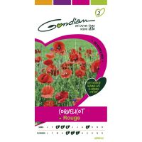 Coquelicot Rouge GONDIAN