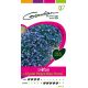 Lobélia Crystal Palace Bleu Foncé GONDIAN