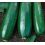 Courgette verte des maraichers