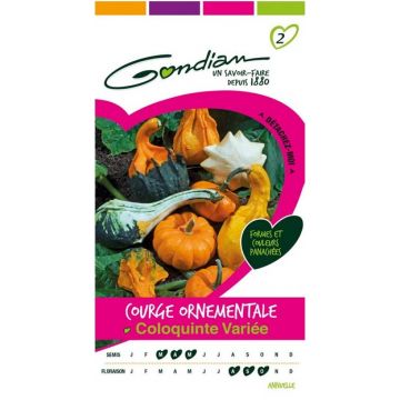 Courge Ornementale Coloquinte Variée GONDIAN