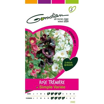 Rose Trémière Simple Variée GONDIAN
