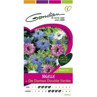 Nigelle de Damas Double Variée GONDIAN