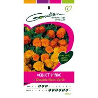 Oeillet d'Inde Double Nain Orange GONDIAN