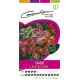 Coleus Arc en Ciel GONDIAN