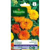 Souci Double Varié VILMORIN