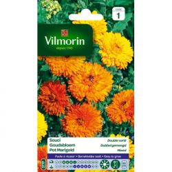 Souci Double Varié VILMORIN