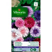 Centaurée Bleuet Double Variée VILMORIN