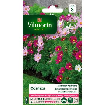 Cosmos Sensation Nain Varié VILMORIN