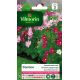 Cosmos Sensation Nain Varié VILMORIN