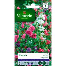 Clarkia Varié VILMORIN