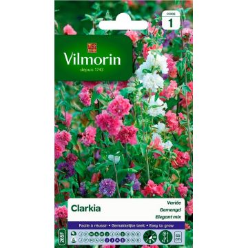 Clarkia Varié VILMORIN