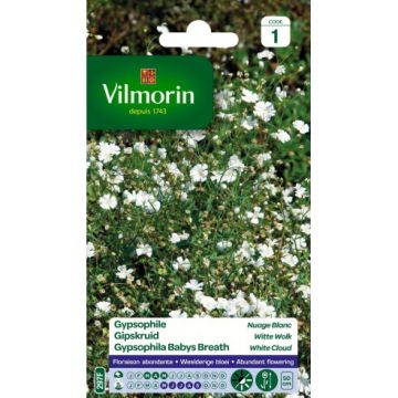 Gypsophile Nuage Blanc VILMORIN