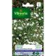 Gypsophile Nuage Blanc VILMORIN