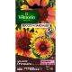 Gaillarde Primavera VILMORIN
