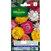 Immortelle à Bractées Double Variée VILMORIN