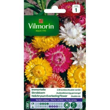 Immortelle à Bractées Double Variée VILMORIN