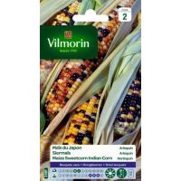 Maïs du Japon Arlequin VILMORIN