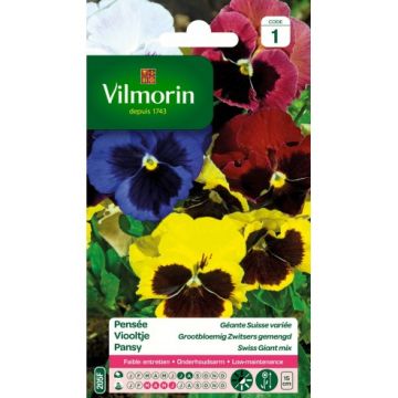 Pensée Géante Suisse Variée VILMORIN