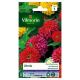 Zinnia Fleur Monstrueuse VILMORIN