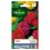 Zinnia Fleur Monstrueuse VILMORIN