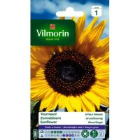 Tournesol à Fleur Géante VILMORIN