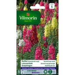 Muflier Grand Loup Varié VILMORIN