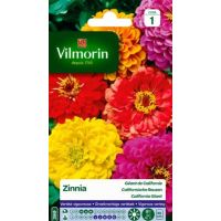 Zinnia Géant de Californie VILMORIN