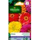 Zinnia Géant de Californie VILMORIN