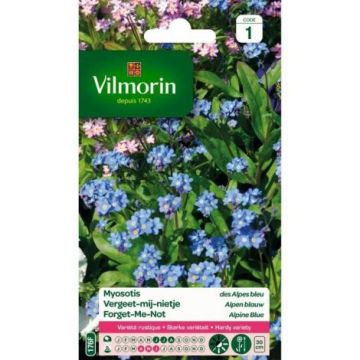 Myosotis des Alpes Bleu VILMORIN