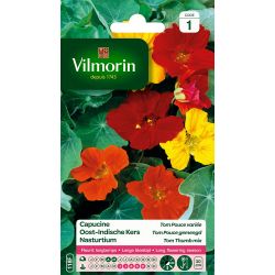 Capucine Tom Pouce Variée VILMORIN