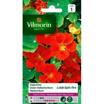 Capucine Lobb Spit-Fire VILMORIN