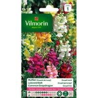 Muflier Goupil Varié VILMORIN