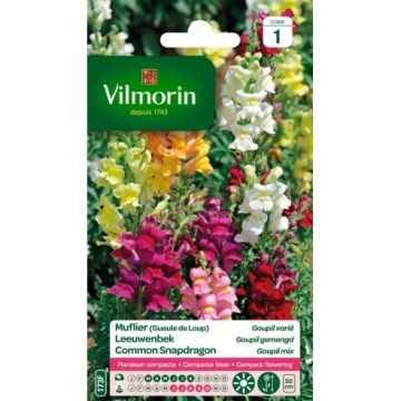 Muflier Goupil Varié VILMORIN