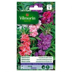 Balsamine Camélia Double Variée VILMORIN