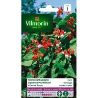 Haricot d'Espagne Varié VILMORIN