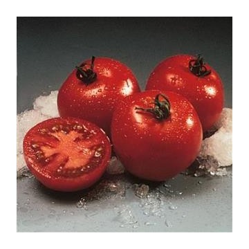 Tomate Cristal F1