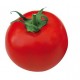 Tomate Diplom F1